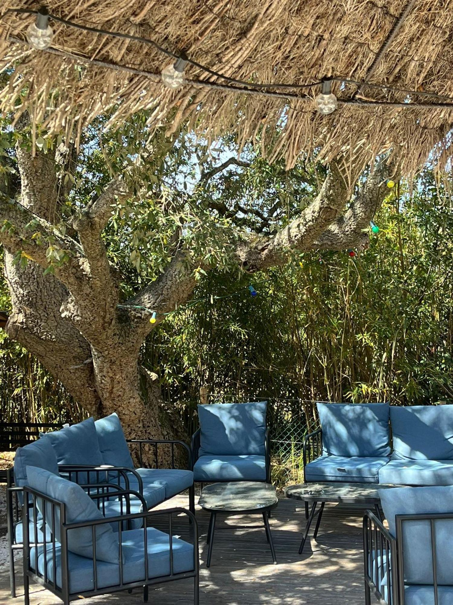 Lou Riou Village Vacances Saint-Tropez Buitenkant foto